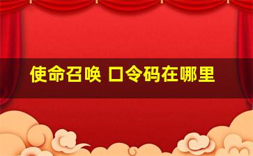 使命召唤 口令码在哪里